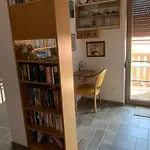 Lipizzaner