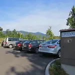 Lipizzaner