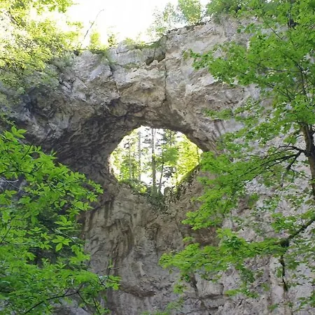 Lipizzaner Konukevi 4*