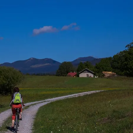 Lipizzaner 3* Postojna