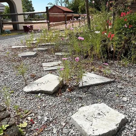 Lipizzaner Konukevi 4*