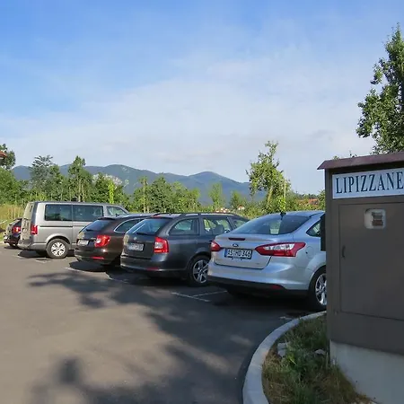 Lipizzaner