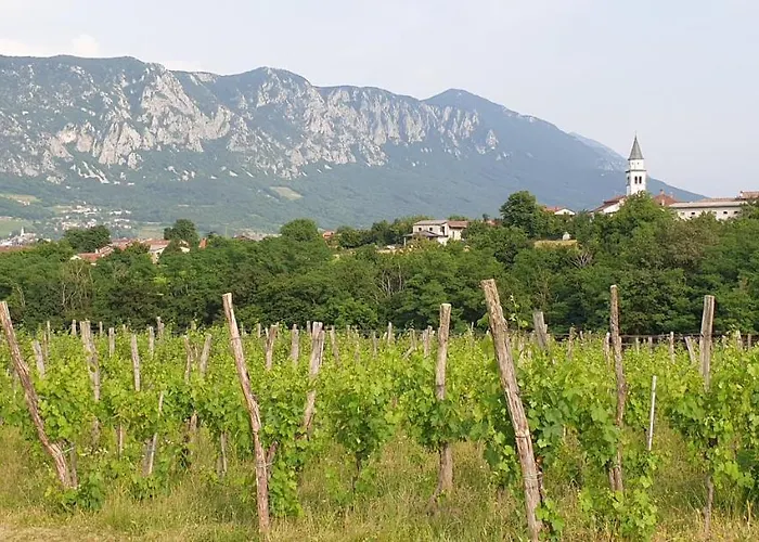 Affittacamere Lipizzaner