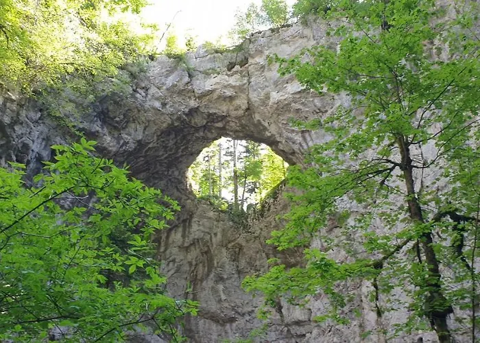 Lipizzaner Affittacamere 4*