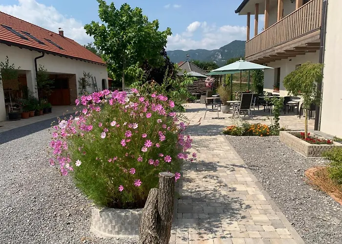 Lipizzaner Affittacamere