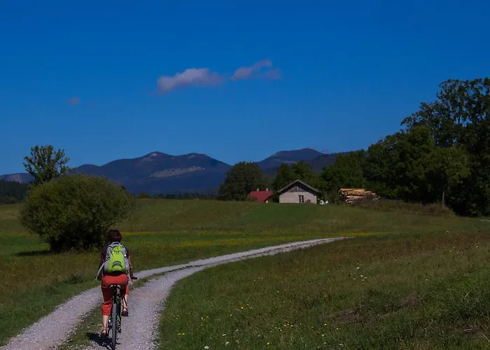 Lipizzaner 4* Postojna