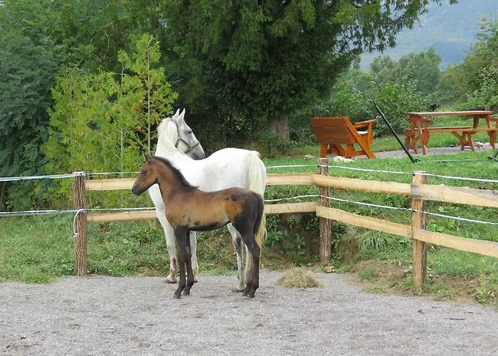 Affittacamere Lipizzaner